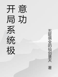 开局系统极意功